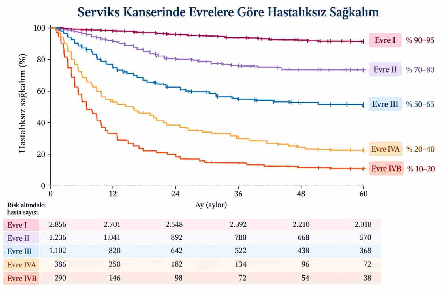 Rahim Ağzı Kanserinde İyileşme Şansı Nedir?